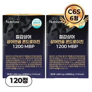 뉴트리나우 철갑상어 연골 콘드로이친 1200 MBP 6형 C6S 식약청 인증 HACCP, 2개, 60회분