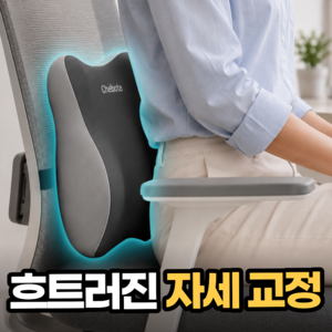 생활기준 자세교정 허리 받침대 의자 등받이 쿠션, 그레이