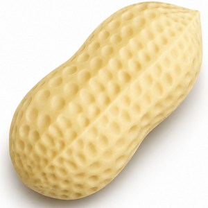 루루이즈 땅콩 스퀴시 바삭바삭 오독오독 바스락, 1개, 100g, 바스락땅콩