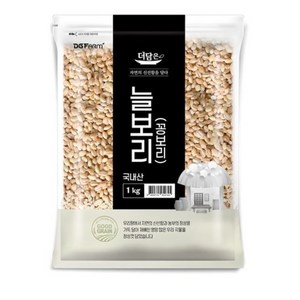 더담은 국산 늘보리 꽁보리, 1kg, 2개