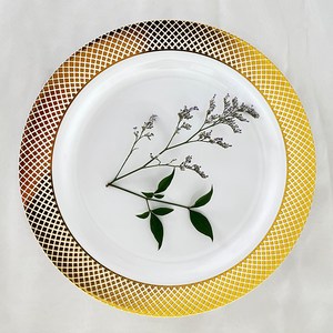로얄 클래식 골드 고급 일회용 플라스틱 접시 25.7cm, 1개, 5개입