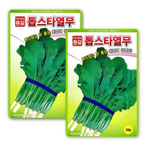 아시아종묘 톱스타 열무 씨앗 20g, 2개