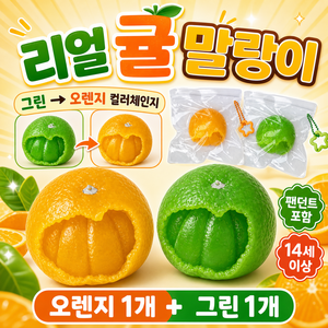 와우템 귤 말랑이, 주황+초록, 2개