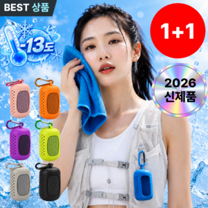 노르딘 키링 아이스 쿨링 쿨타올 스포츠 냉감소재 땀수건, One Size, 2개