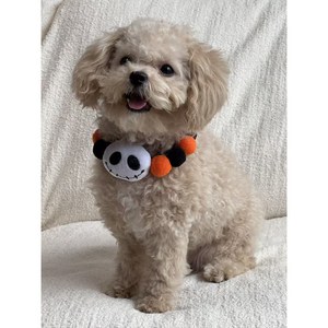 파울리 할로윈 파티 반려동물 찍찍이 목걸이 엽기 악세서리 장식 강아지 고양이용 비숑 말티푸 봉제, 1개, 유령