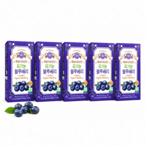 홀베리 통째로 갈아만든 유기농 블루베리, 20g, 70개