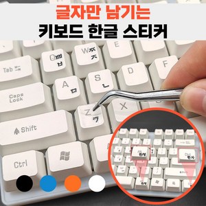 제이템 글자만 붙여지는 키보드 한글 자판 스티커 레터링 핀셋 포함, 1세트, 블루