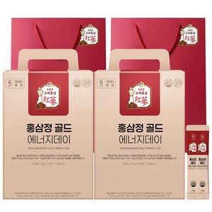 1+1 홍삼정 골드 6년근 프리미엄 100회분 대용량 쇼핑백 선물세트 에너지데이, 2개, 1L