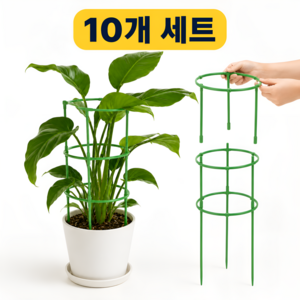 뎁시스 원예 화분 식물지지대, 10개