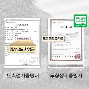 정성제 마가목 흑염소진액 지리산 무항생제 국내산100% 70ML*30포, 4박스, 70ml