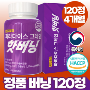 자연온정 파라다이스 그래인 그레인 정품 핫 버닝, 1개, 120정