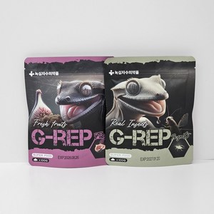 녹십자 G-REP 크레스티드 게코 슈퍼푸드 무화과&인섹트, 100g, 2개