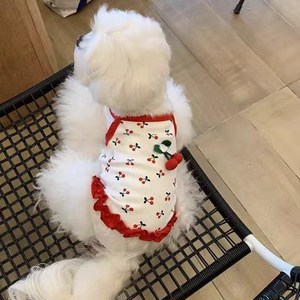 보리셀럽 반려동물 봄 여름 스타일 체리 나시, 1개, 화이트