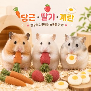 행복햄 당근이갈이+딸기이갈이+계란후라이비스킷 햄스터 간식세트, 1세트, 55g
