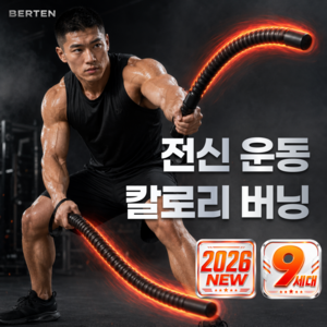 베르텐 9세대 무선 배틀로프 유산소 무소음 홈트 전신 운동 다이어트 전문가용 기구, 1세트, 스텔스 블랙