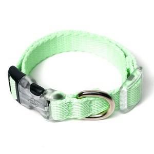 아띠지기 반려동물 웨빙 목줄, 리프그린, 1개