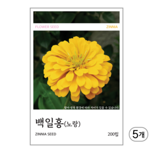 새싹바라기 백일홍(노랑) 씨앗 200립, 5개