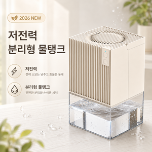 ThinkLife 저소음 원룸 미니 제습기 4계절겸용 화장실 옷장 드레스룸 욕실 곰팡이제거, B타입