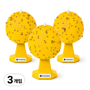 홈트루 벌레잡아 초파리 끈끈이 트랩, 1개, 3개입