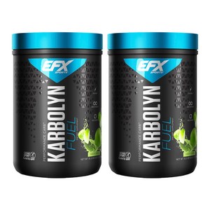 올아메리칸이에프엑스 카보린 퓨얼 그린 애플, 1000g, 2개, 1kg 골드박스 특가
