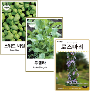 허브씨앗 3종 스위트바질+루꼴라+로즈마리 허브 rosemary 루콜라 바질 키우기 허브 종자, 1개