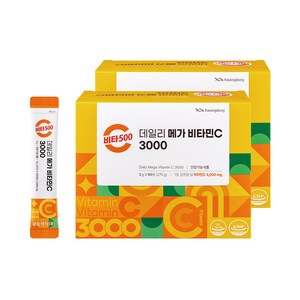 광동 비타500 데일리 메가 비타민C 3000 고함량 비타민c, 2개, 270g