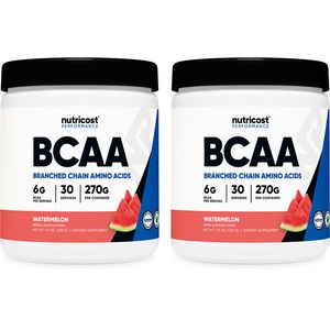 뉴트리코스트 BCAA 파우더 수박 맛 30회 2팩, 270g, 2개
