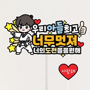 태권도토퍼 승급 승단 심사 케이크토퍼 응원 선물 파티 데코픽, 1개, 남자