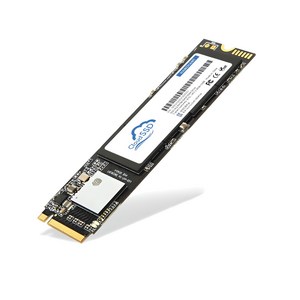 한창코퍼레이션 M.2 NVMe SSD, CLOUD, 256GB