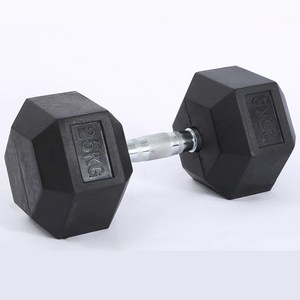 드래곤핏 홈짐 PEV 헥사곤 덤벨 헬스장 육각 아령, 1개, 25kg