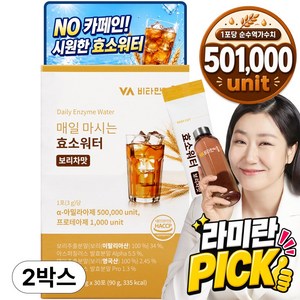 비타민마을 매일 마시는 효소워터 보리차맛 30p, 90g, 2개