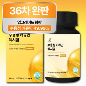 [4개월분] 강황 수용성 커큐민 식약청 HACCP 인증 (대용량), 1개, 120정