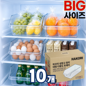 하코리 냉장고 정리 대형 다용도 트레이, 10개, 클린