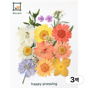 체크스토리 압화 컬러가든시리즈 누름꽃 꽃송이 압화재료 공예, 오렌지믹스15(3팩), 오렌지