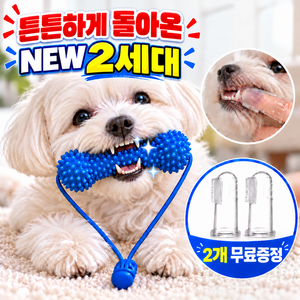 세렌코 고생해방 강아지 양치 보조기 2세대 덴탈토이 치아관리 실리콘 장난감, 1세트, 딥 블루