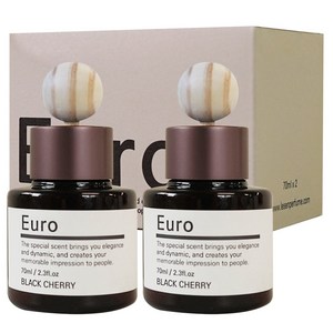 유로 차량용 디퓨저 70ml x 2개입+실리콘패드2+우드볼2, 오션뷰, 1개