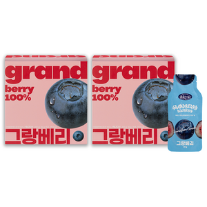 그랑베리 캐나다 야생블루베리 100%, 2박스, 450g