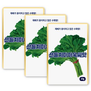 산들 치마 아욱씨앗 10g 수확량 많고 약재 활용 아욱씨 종자, 3개