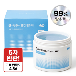 청소연구소 실내 고체 탈취제 클린솝향 300g 공간 탈취제 초강력 냄새제거 화장실 집안 담배냄새 제거, 1개, 300ml