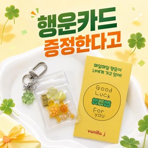 [바닐라제이] 황금 행운 거북이 골드바 네잎클로버 지퍼백 키링 금부기 열쇠고리, 1세트, 황금 행운 거북이 지퍼백키링