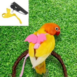 리얼세이지 앵무새 하네스 산책 리드줄, M, 옐로우, 1개