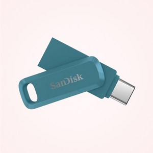 샌디스크 USB 메모리 DDC3 블루 C타입 OTG 3.2 대용량, 1TB, 1개