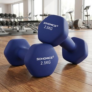 SONGMICS 육각 스포츠 논슬립 덤벨 아령 세트, 2개, 2.5kg