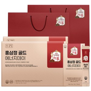 1+1 홍삼정 골드 6년근 프리미엄 홍삼스틱 쇼핑백 선물세트 에너지데이, 2개, 300ml