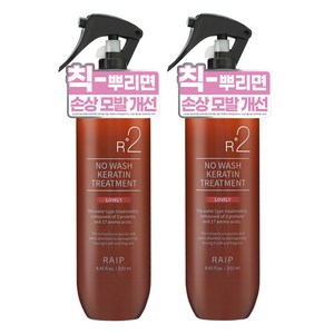 라입 R2 노워시 케라틴 헤어 트리트먼트 러블리, 250ml, 2개 골드박스 특가