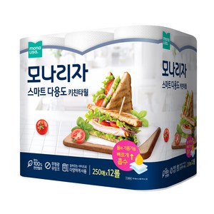 모나리자 스마트 다용도 키친타올 250매, 48개