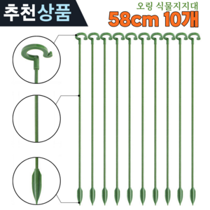 원예 화초고정 줄기 지주대 화분 식물 오링 지지대 58cm, 10개