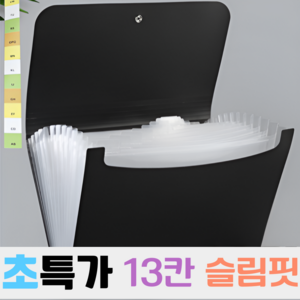 우디밸리 A4 슬림핏 아코디언 파일, 카본 블랙, 1개