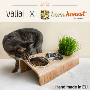 본어니스트 Valaiai 유럽 명품 3구 반려동물 급식 식기, 1개, 오크