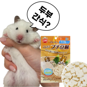 (best)마루칸 햄스터 간식, 10g, 1개